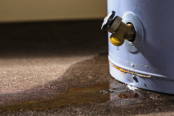 Best Water damage cleanup near me  in Cresskill, NJ