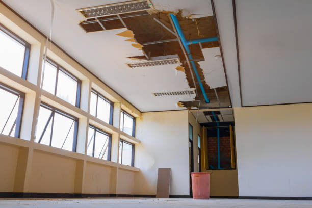 Best 24/7 water damage repair  in Cresskill, NJ